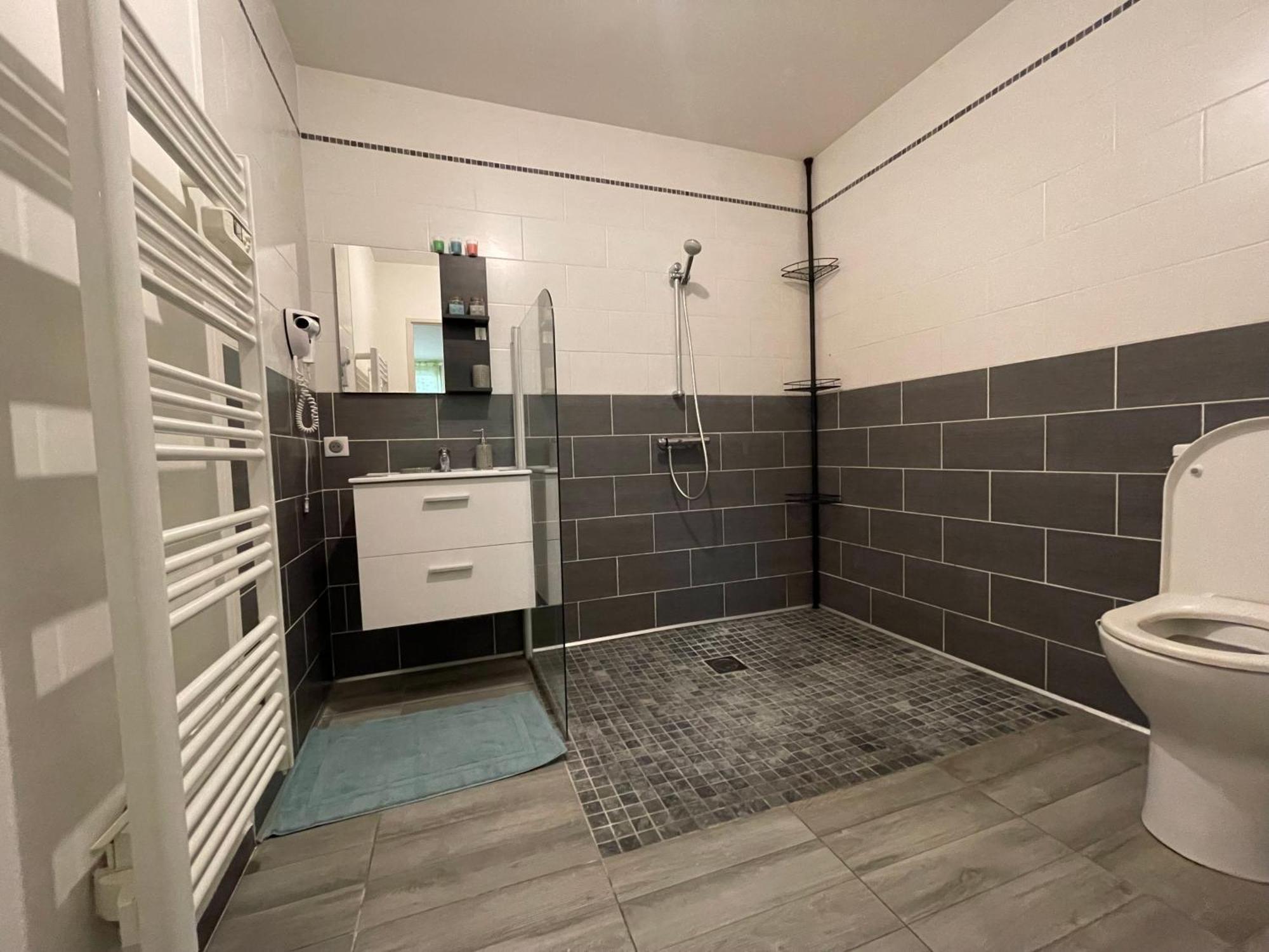 Appartement Macon Proche Gare Et Centre-Ville 외부 사진